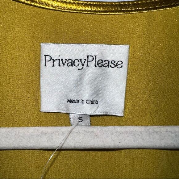 Privacy Please Brisco Metallic Dress(defects) - Picture 9 of 9